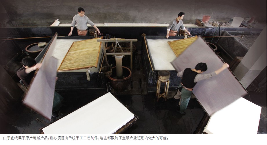 《徽商》关注宣纸产业发展